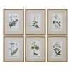Uttermost Green Floral Botanical Study Framed Wall Art 6-piece Set