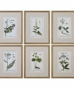 Uttermost Green Floral Botanical Study Framed Wall Art 6-piece Set