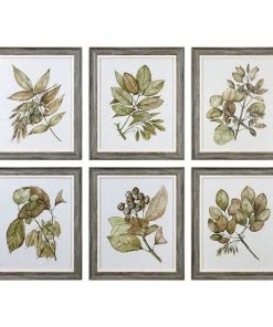Uttermost Seedlings Leaves Framed Wall Art 6-piece Set