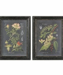 Uttermost Midnight Botanicals Wall Art 2-piece Set