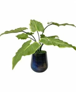 Uttermost Mari Calla Accent Plant