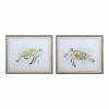 Uttermost Sea Turtle Study Watercolor Prints