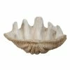 A&B Home Clam Shell Decor
