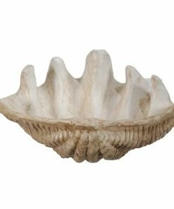 A&B Home Clam Shell Decor