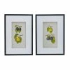 A&B Home Smithsonian - Assorted Fruit Framed Wall Art 2-Piece Set