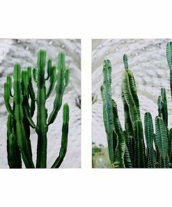 A&B Home Twin Cacti Wall Art 2-piece Set